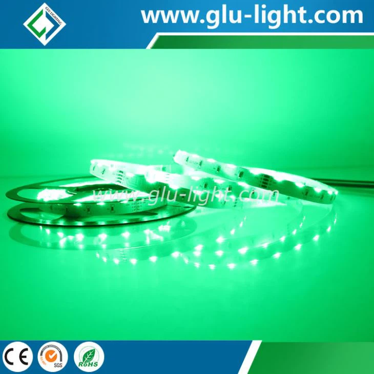China supplier 10mm DC24V RGB color Sideview led strip with 60 leds/m CE/ ROHS 