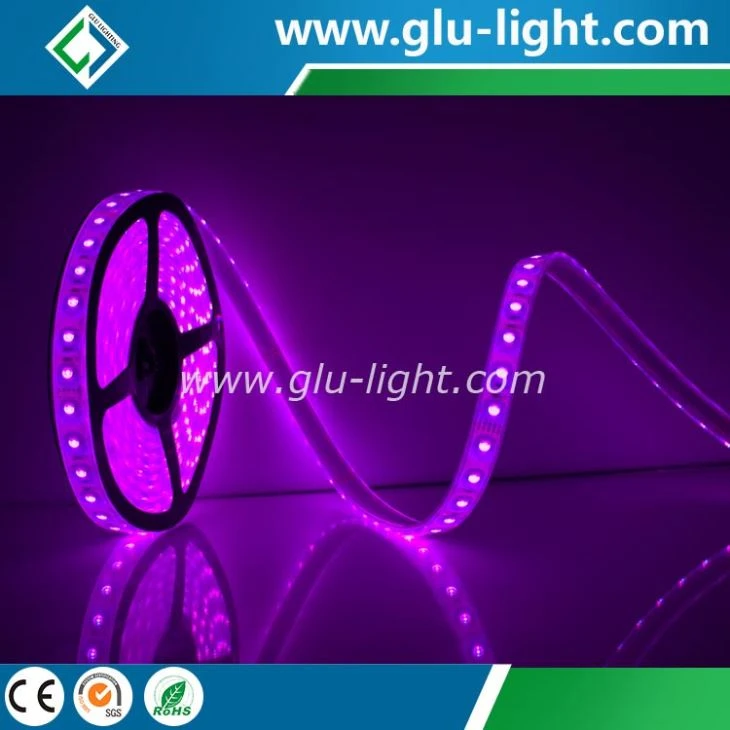 New design tough silicone corrosion-proof IP68 RGB led strip